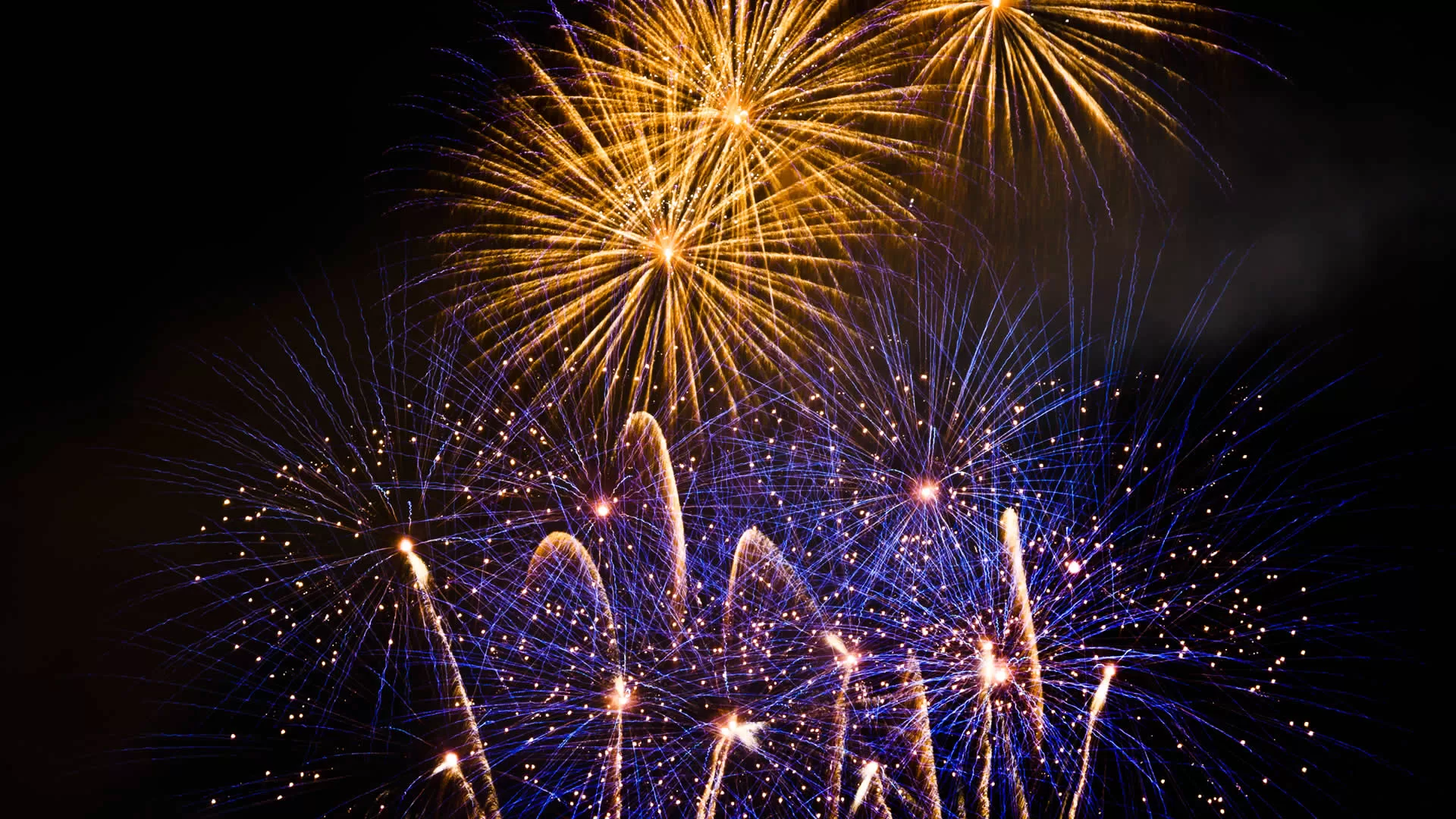 Happy new year from Mamma Chick